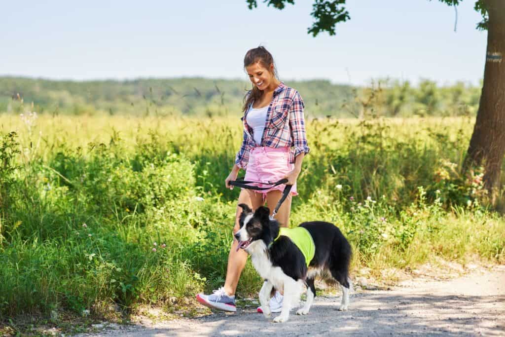 where-to-advertise-dog-walking-closing Image of a pro dog walker waking a client's dog in the countryside for an article covering where to advertise a dog walking business.
